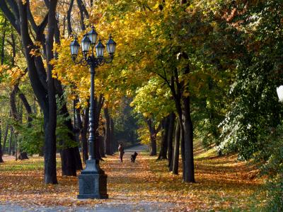 Осіння алея з ліхтарем у парку Володимирська гірка